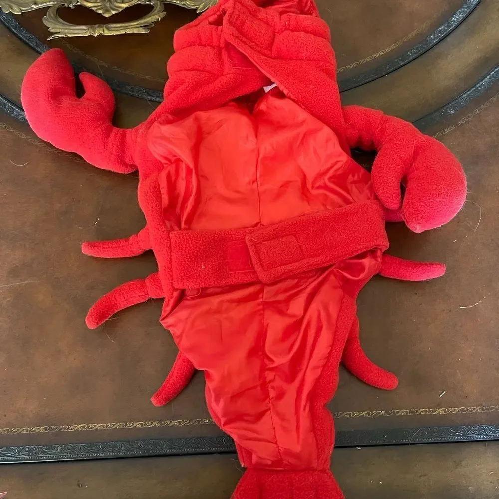 🦞 🎃 ADORABLE Red ROCK Lobster Halloween costume!